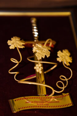 Специальный приз имени Евгения Родионова